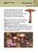 HarperCollins Publishers Books - Mushrooms (Collins Gem, Pocket Guide)