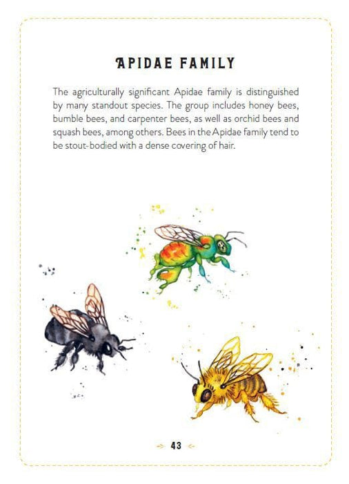 HarperCollins Publishers Books - The Little Book Of Bees: An illustrated guide to the extraordinary lives of bees