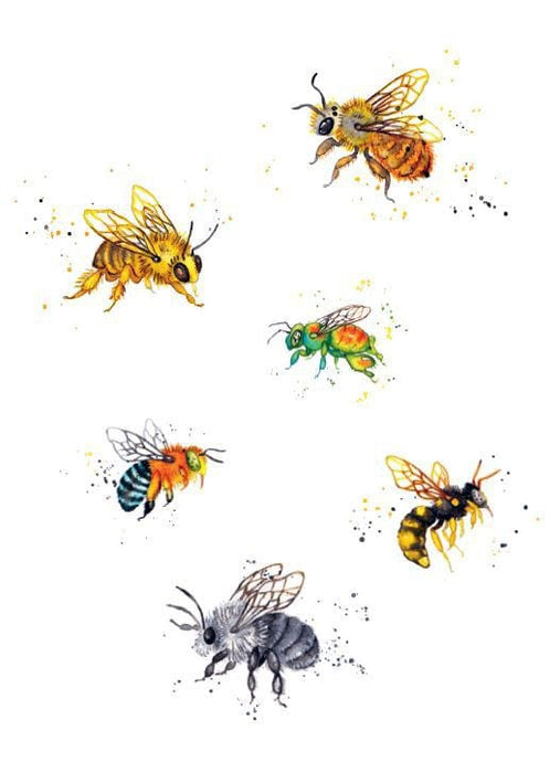 HarperCollins Publishers Books - The Little Book Of Bees: An illustrated guide to the extraordinary lives of bees