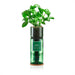 Hydro-Herb Plant & Herb Growing Kits - Basil Hydro-Herb Growing Kit