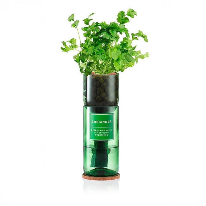 Hydro-Herb Plant & Herb Growing Kits - Coriander Hydro-Herb Growing Kit