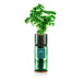 Hydro-Herb Plant & Herb Growing Kits - Curly Parsley Hydro-Herb Growing Kit