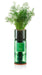 Hydro-Herb Plant & Herb Growing Kits - Dill Hydro-Herb Growing Kit