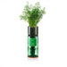 Hydro-Herb Plant & Herb Growing Kits - Dill Hydro-Herb Growing Kit