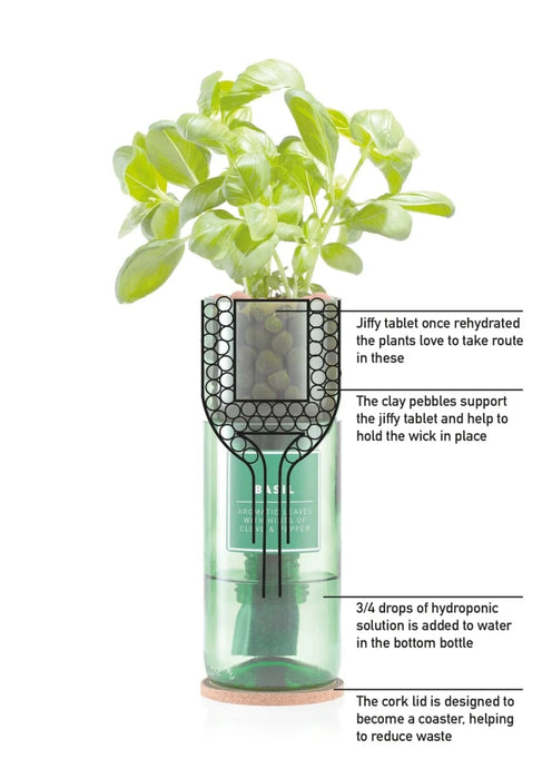 Hydro-Herb Plant & Herb Growing Kits - Hydro-Herb Growing Kit