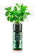 Hydro-Herb Plant & Herb Growing Kits - Mint Hydro-Herb Growing Kit