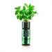 Hydro-Herb Plant & Herb Growing Kits - Mint Hydro-Herb Growing Kit