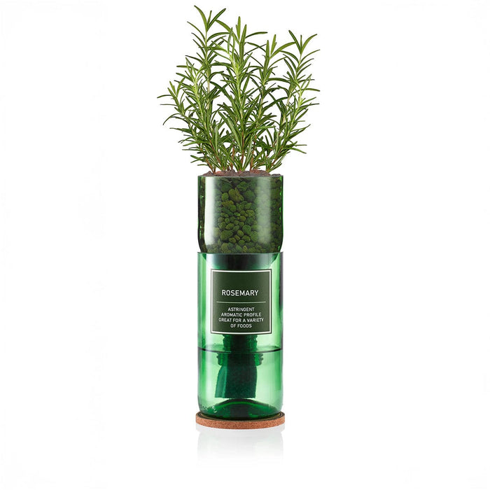 Hydro-Herb Plant & Herb Growing Kits - Rosemary Hydro-Herb Growing Kit