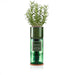 Hydro-Herb Plant & Herb Growing Kits - Rosemary Hydro-Herb Growing Kit