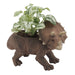 Jardinopia Indoor Plant Pots - Dinosaur Planter - Triceratops