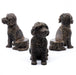 Jardinopia Plant Pot Accessories - Plant Pot Feet - Bronze Cockapoo