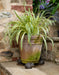 Jardinopia Plant Pot Accessories - Plant Pot Feet - Bronze Hedgehog