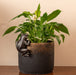 Jardinopia Plant Pot Accessories - Plant Pot Hanger - Bronze Frog