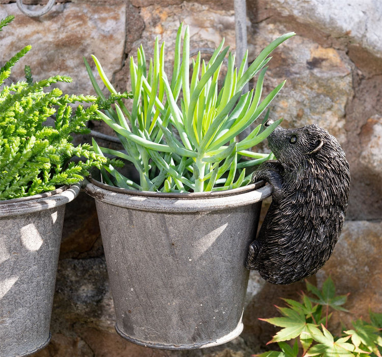 Jardinopia Plant Pot Accessories - Plant Pot Hanger - Bronze Hedgehog