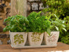 Jardinopia Pots & Planters - Eco Pots Set of 3 - Herbs – Gift Boxed