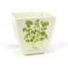 Jardinopia Pots & Planters - Eco Pots Set of 3 - Herbs – Gift Boxed