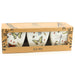 Jardinopia Pots & Planters - Eco Pots Set of 3 - Insects – Gift Boxed