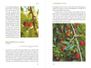 John Wright Books - Foragers Calendar: A Seasonal Guide to Nature's Wild Harvests