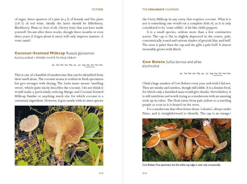 John Wright Books - Foragers Calendar: A Seasonal Guide to Nature's Wild Harvests