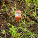 Kikkerland Garden Accessories - Garden Hydrometer