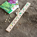 Kikkerland Garden Essentials - Seeding Ruler & Dibber