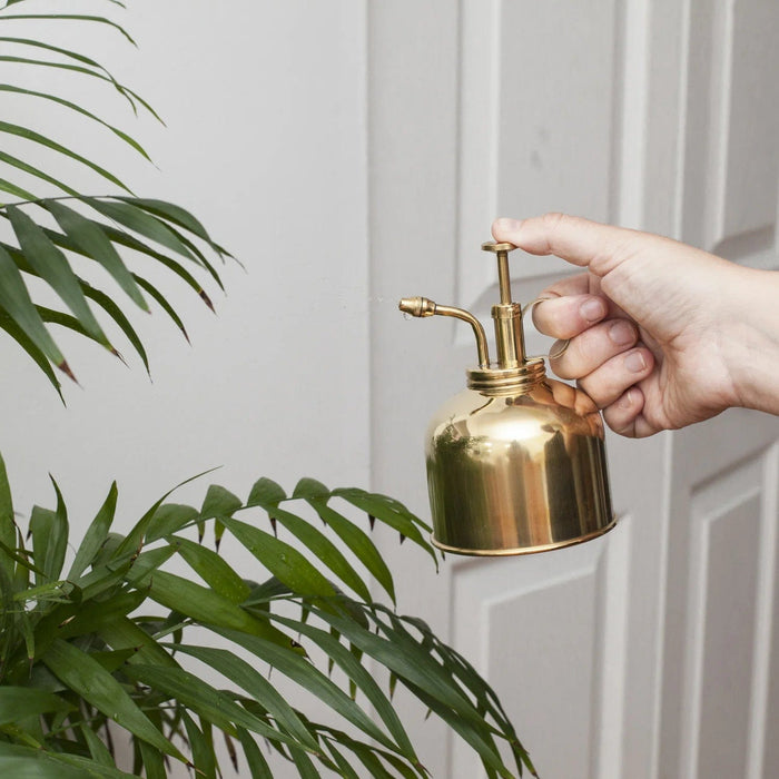 Kikkerland Indoor Gardening - Indoor Plant Mister - Brass