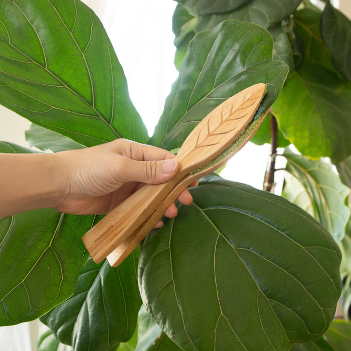 Kikkerland Indoor Gardening - Leaf Cleaning Tongs