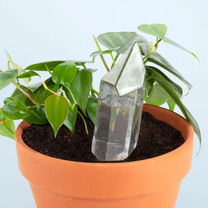 Kikkerland Indoor Gardening - Water From A Crystal