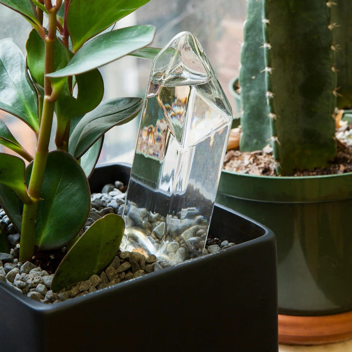 Kikkerland Indoor Gardening - Water From A Crystal