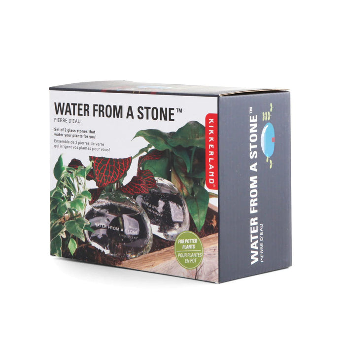 Kikkerland Indoor Gardening - Water From A Stone