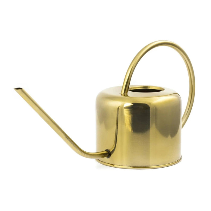 Kikkerland Watering Cans - Indoor Watering Can - Brass