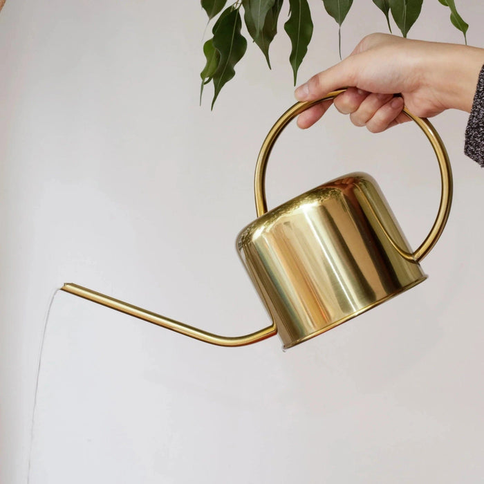 Kikkerland Watering Cans - Indoor Watering Can - Brass