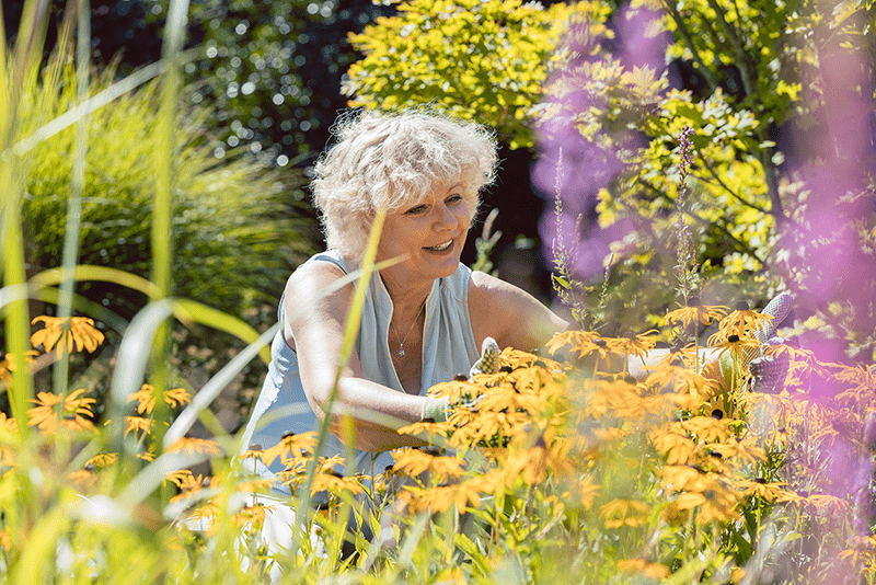 a senior woman gardening yellow flowers