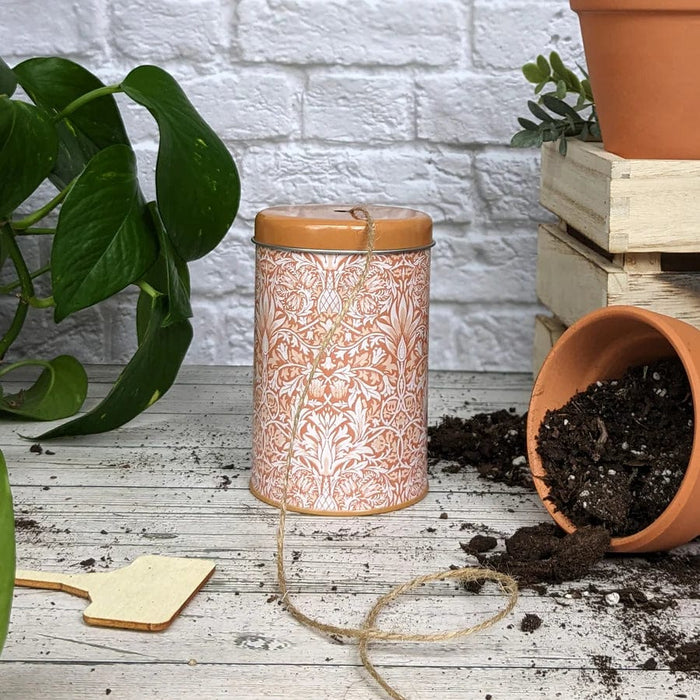 Orange Grove Garden Essentials - William Morris Peach Garden Twine