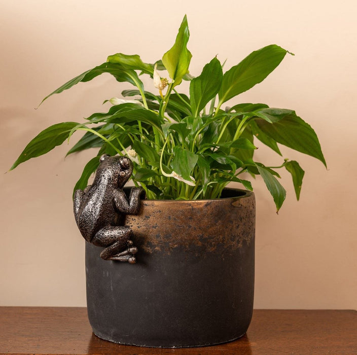 Plant Pot Hanger - Bronze Frog