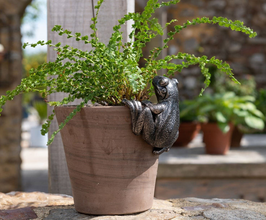 Plant Pot Hanger - Bronze Frog