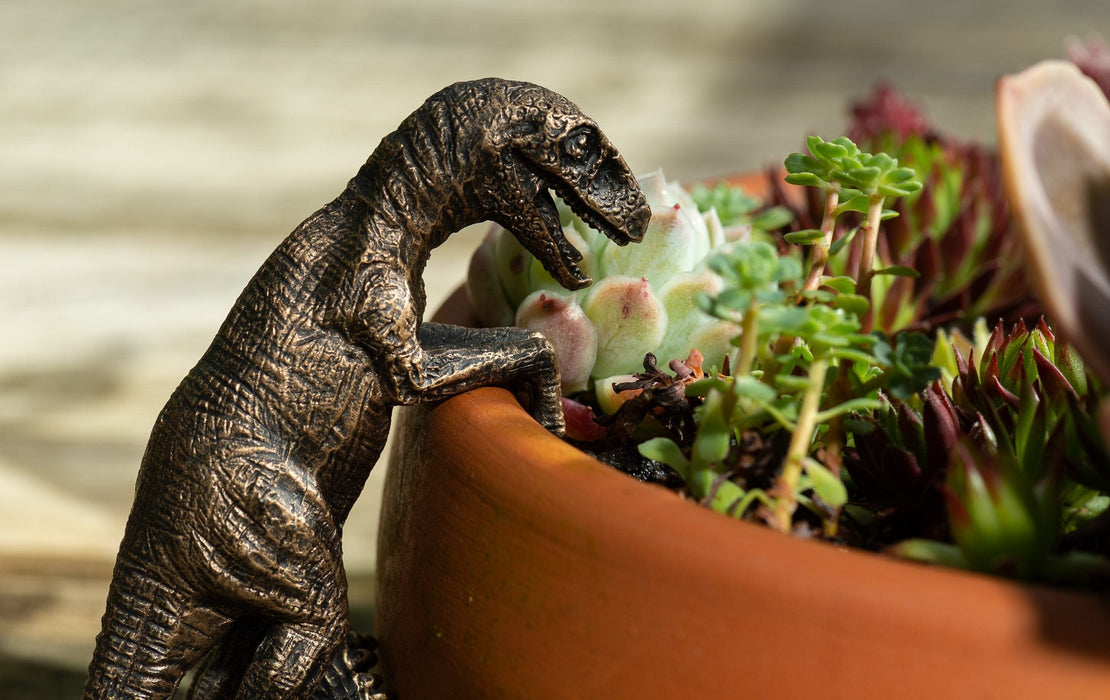 Plant Pot Hanger - Bronze Velociraptor