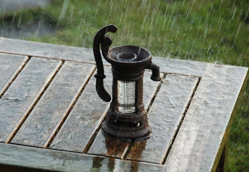 Decorative Rain Gauge (Various Styles)