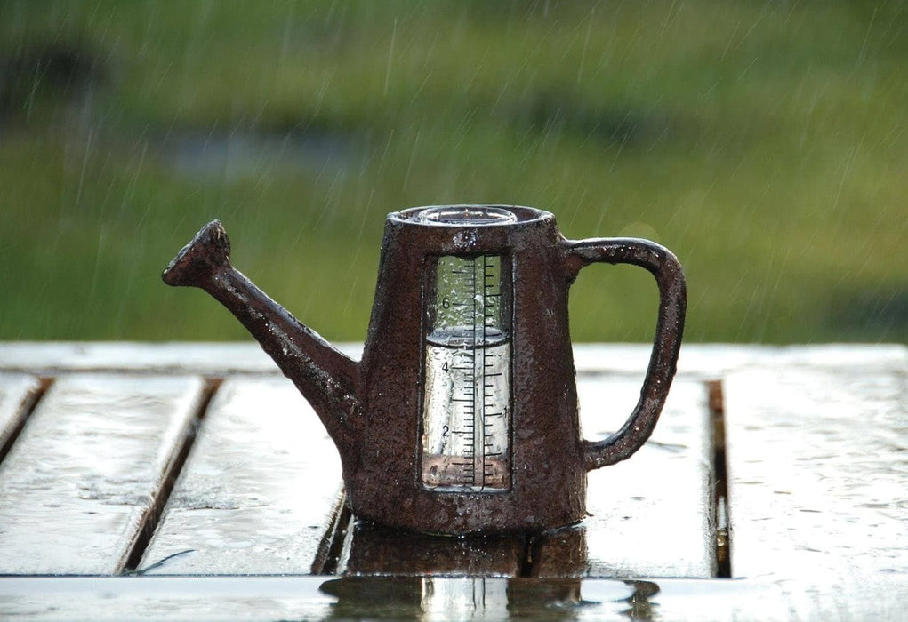 Decorative Rain Gauge (Various Styles)