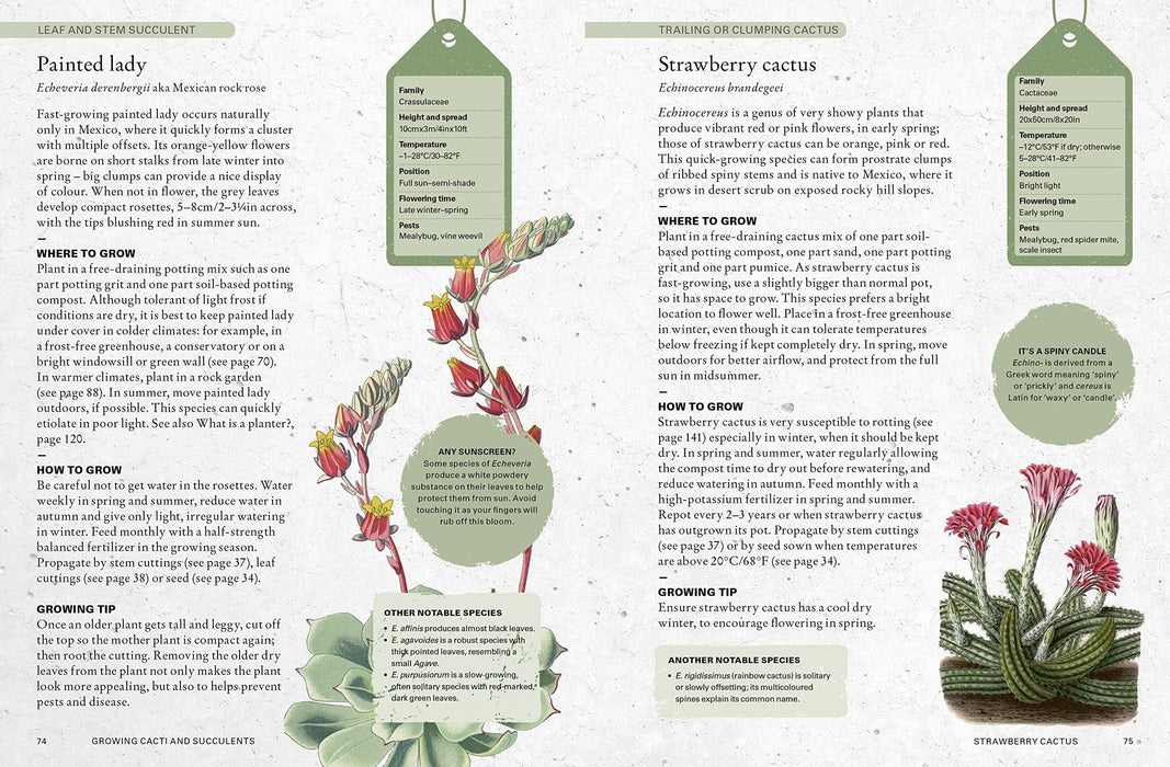 Royal Botanic Gardens, Kew Books - The Kew Gardener's Guide To Growing Cacti And Succulents