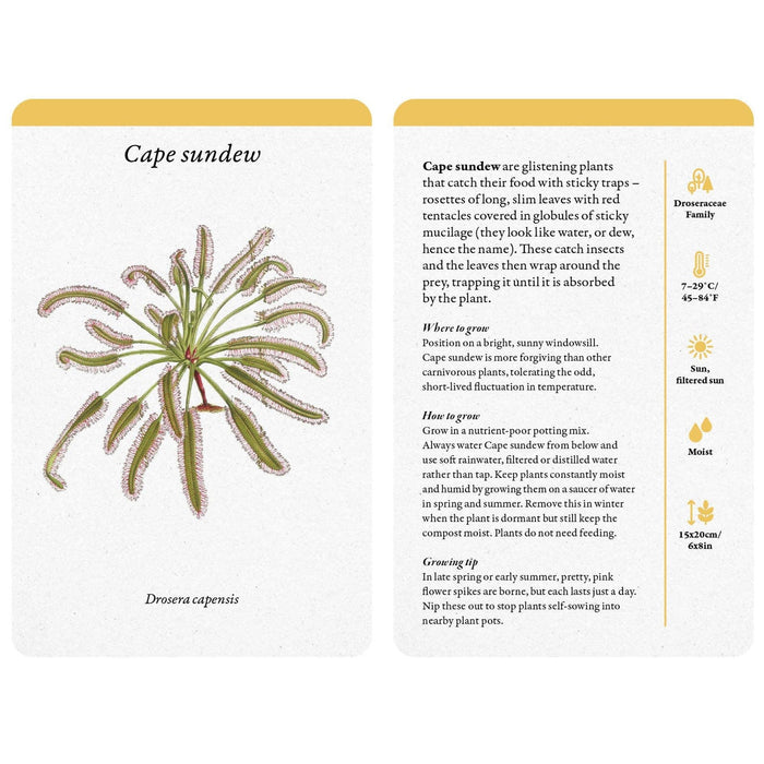 Royal Botanic Gardens, Kew Card Decks - Kew A Home Full of House Plants: A Practical Card Deck