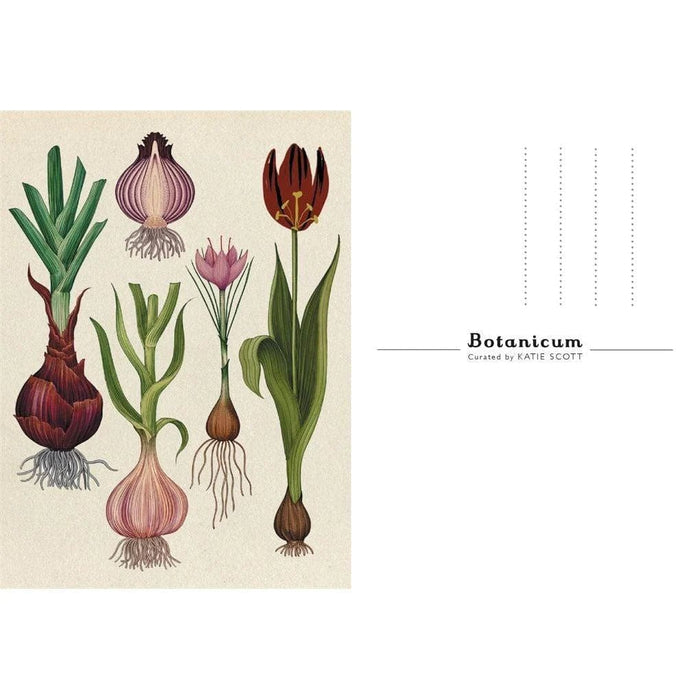 Royal Botanic Gardens, Kew Postcards & Notecards - Kew Botanicum Postcards