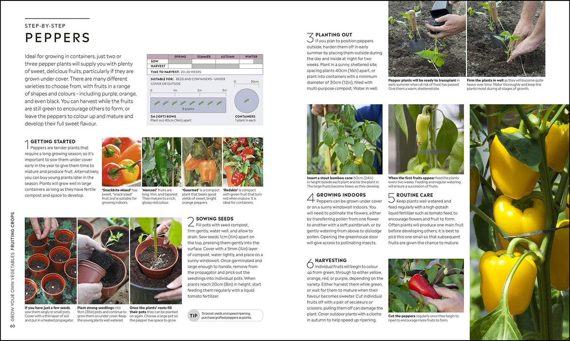 Royal Horticultural Society (RHS) Books - RHS Step By Step Veg Patch