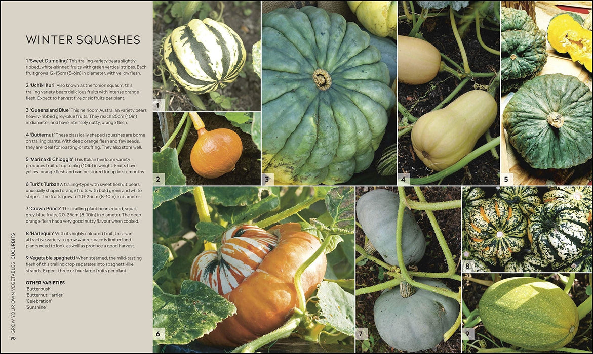 Royal Horticultural Society (RHS) Books - RHS Step By Step Veg Patch