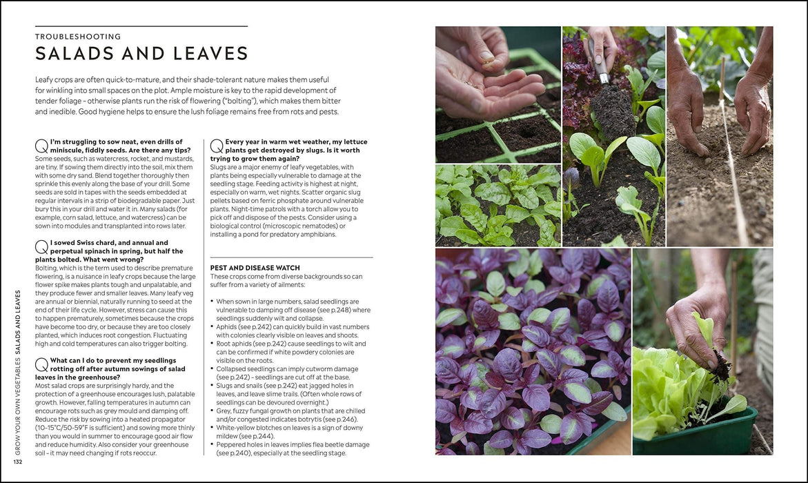 Royal Horticultural Society (RHS) Books - RHS Step By Step Veg Patch