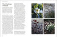 Royal Horticultural Society (RHS) Books - RHS The Winter Garden