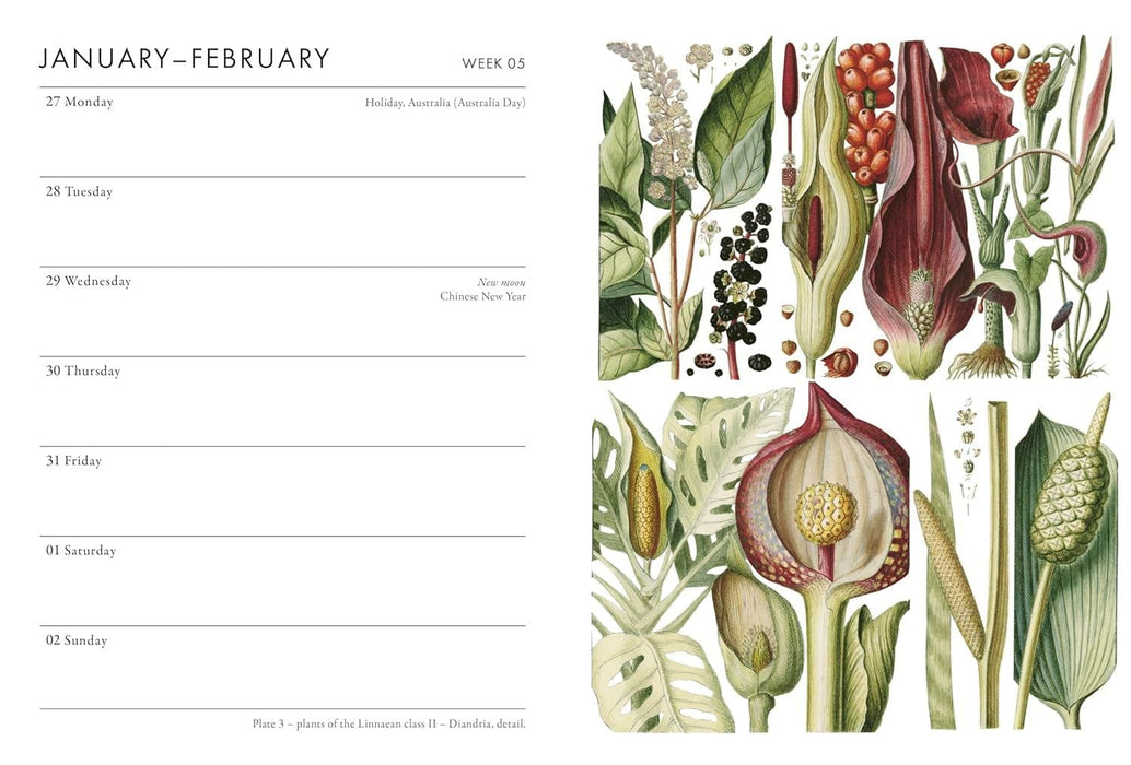 Royal Horticultural Society (RHS) Calendars & Diaries - RHS Desk Diary 2025