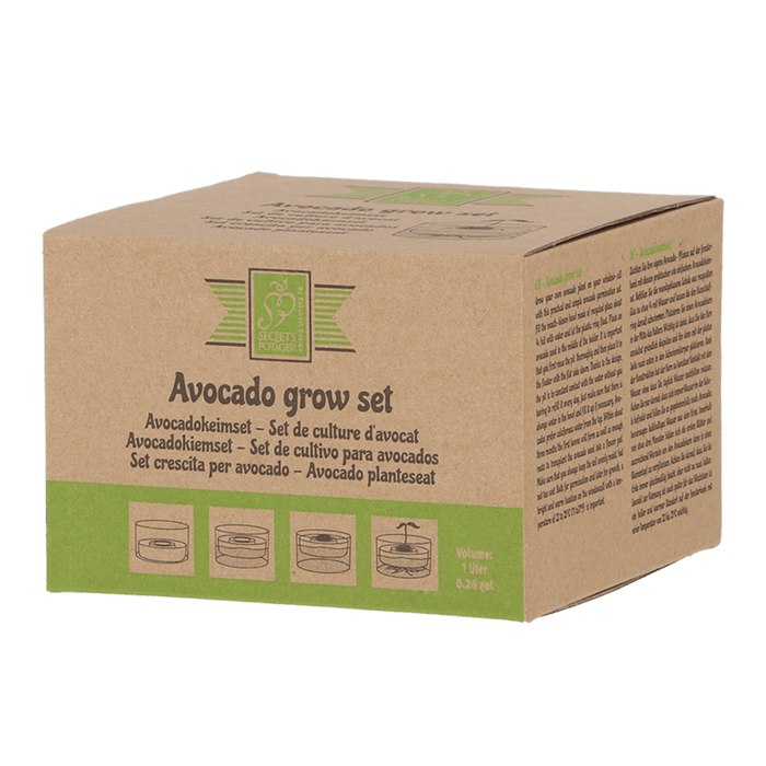 Secrets du Potager Plant & Herb Growing Kits - Avocado Growing Kit - Grow Avocado from Seed