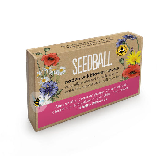 Seedball Plant & Herb Growing Kits - Seedball Large Seed Box - Annuals Mix