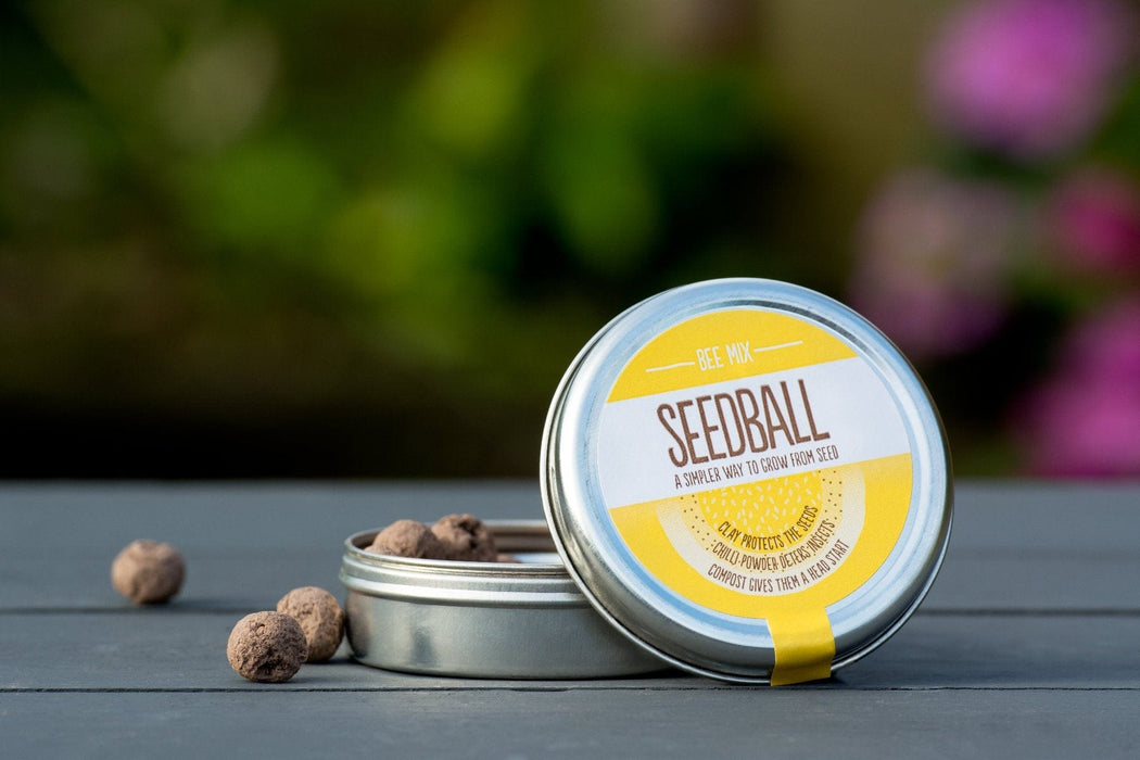 Seedball Plant & Herb Growing Kits - Seedball Tin - Bee Mix